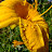 DSCF9606.JPG