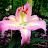 DSCF9718.JPG