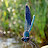 DSCF9385.JPG