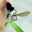 DSCF9474.JPG