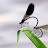DSCF9477.JPG