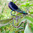 DSCF9484.JPG
