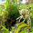 DSCF9496.JPG