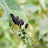 DSCF9540.JPG