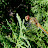 DSCF9617.JPG