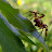 DSCF9681.JPG