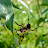 DSCF9682.JPG