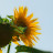 DSCF9738.JPG