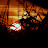 DSCF9796.JPG