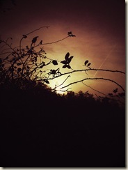 Autumm_mood_by_M__A__D__L__E__N