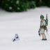 IMG_4309-web.jpg