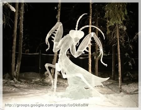 [Fascinating-ice-and-snow-sculpture-1[16].jpg]