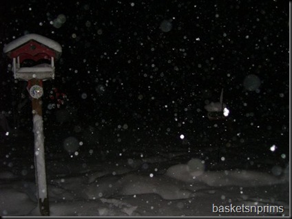 Winter wonderland