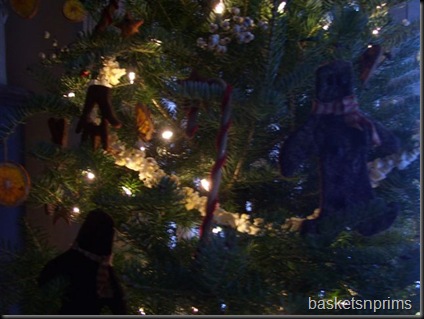 close up of tree, ginger