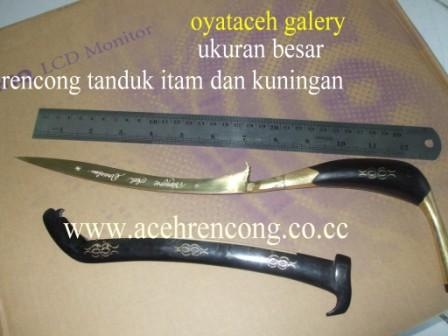 [rencong233.jpg]