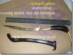 rencong23