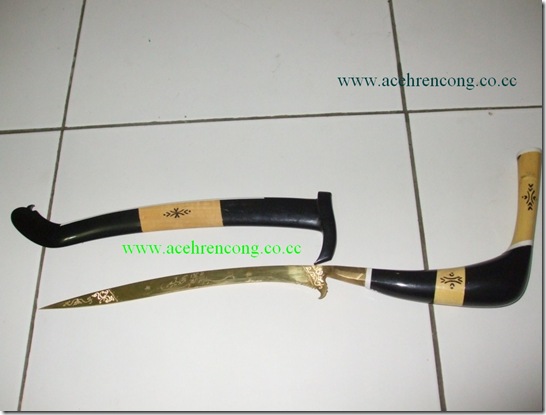 RENCONG2