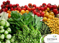 produtosdaterra.jpg