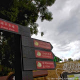 歲末小旅行 / step 4. 青青草原踏青去