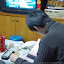 IMGP1597.JPG