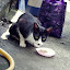 IMGP5948.JPG