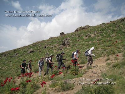 Mt Damavand Summer Tours