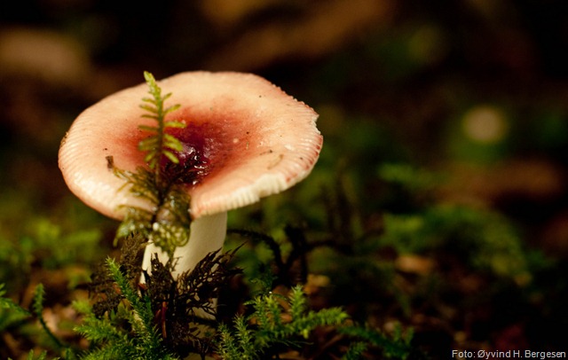 [5001577498_f0402241b0_b[9].jpg]