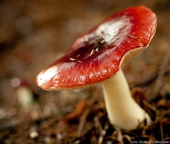 [5001578162_28eb9ef000_b[14].jpg]