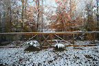 K and K cabin in snow (2).JPG
