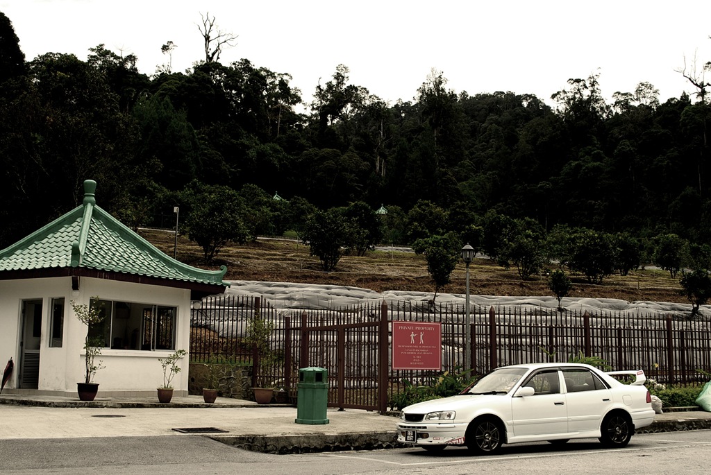 [DSC_9960[3].jpg]