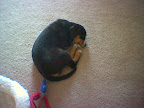 image_00047.jpg