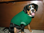DSCF0828.JPG