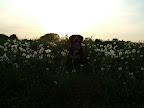DSCF1135.JPG