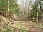 DSCF0850.JPG