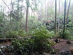 DSCF0858.JPG