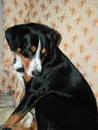 DSCF1377.JPG
