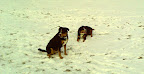 IMAGE_008.jpg