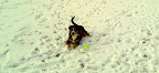 IMAGE_011.jpg