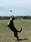 DSCF1103.JPG
