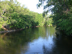 CIMG0103.JPG