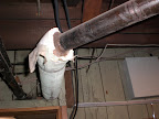 CIMG0117.JPG