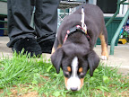 DSCF0497.JPG