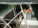 DSCF0499.JPG
