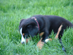 DSCF0515.JPG