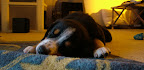 DSCF0545.JPG