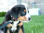 DSCF0534.JPG