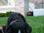 DSCF0536.JPG
