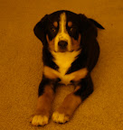 DSCF0547.JPG