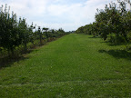 CIMG0024.JPG