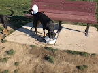CIMG0051.JPG